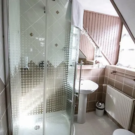 Hotel Aranygombos Fogado 2*